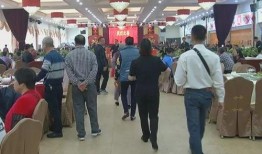 东莞厚街新闻爆料事件,事件真相与后续进展追踪